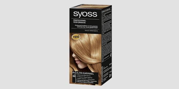 Pintura Syoss