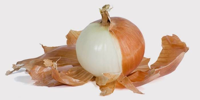 Cebola e casca de dor de dente
