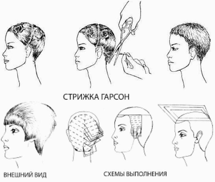 Esquema de penteado de Garson