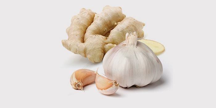 Ginger Root s cesnakom