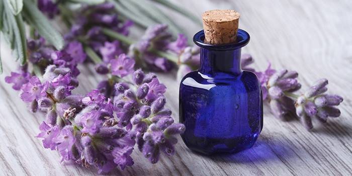 Óleo de suor de lavanda em sapatos