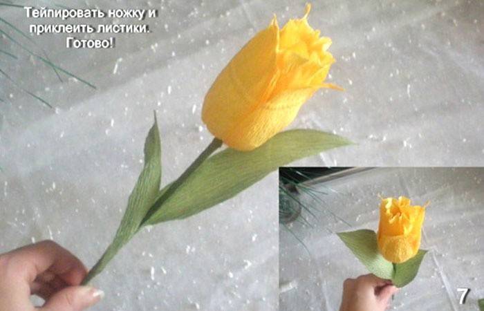 Tulipán con caramelo