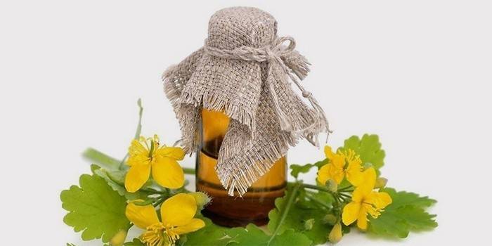 Infusão de Celandine para o tratamento da endometriose em mulheres