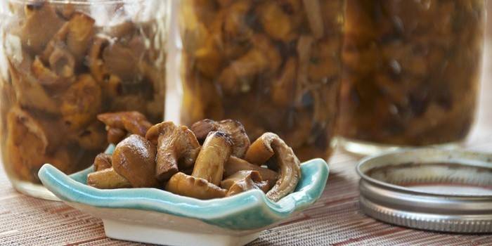 Cogumelos em conserva e chanterelles