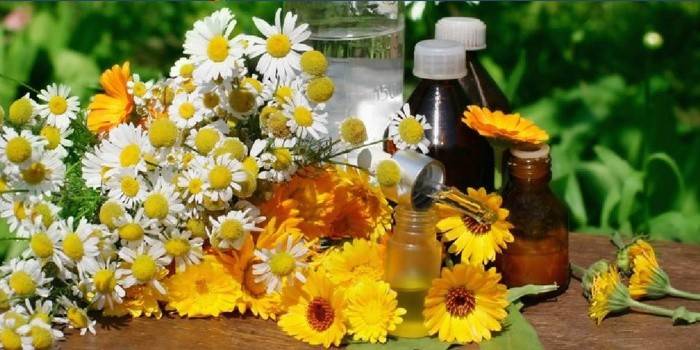 Remedios populares contra la mononucleosis