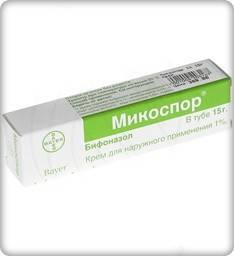 Mikospor