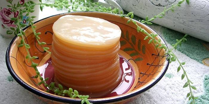 Kombucha zabiť baktérie