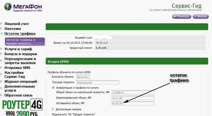 Internet z przewodnika po usługach