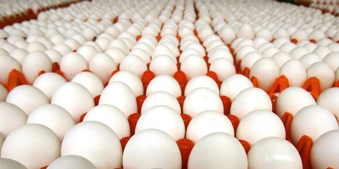 Ovos de galinha