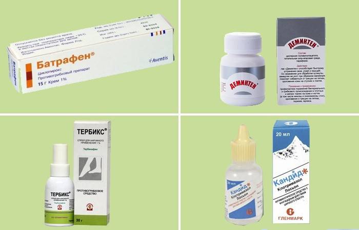 drogas antifúngicas