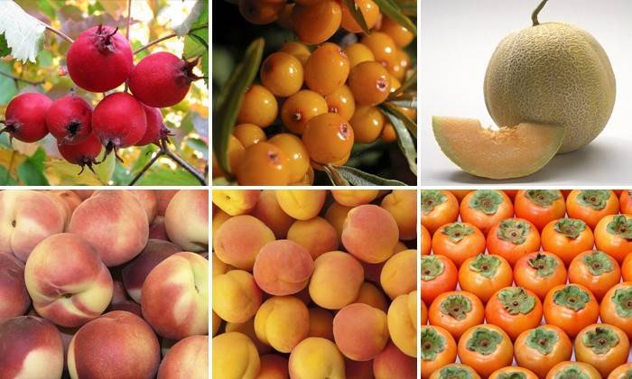 Quais os alimentos que contêm vitamina A