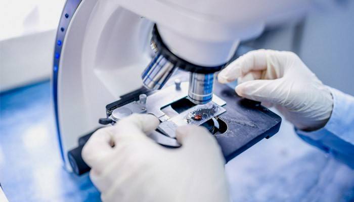 Examen histológico en el laboratorio.