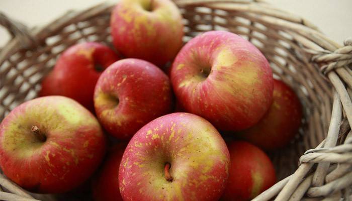 Manzanas rojas para dieta
