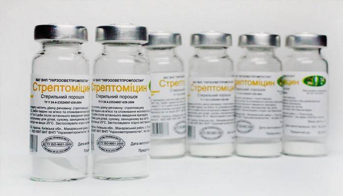 Streptomycyna do leczenia owrzodzeń troficznych stóp