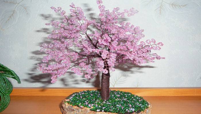 Japońska sakura