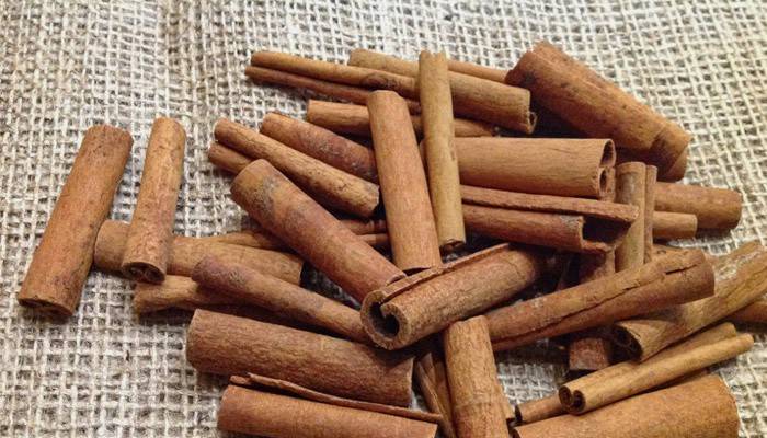 Palitos de canela