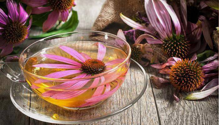 Echinacea Flask
