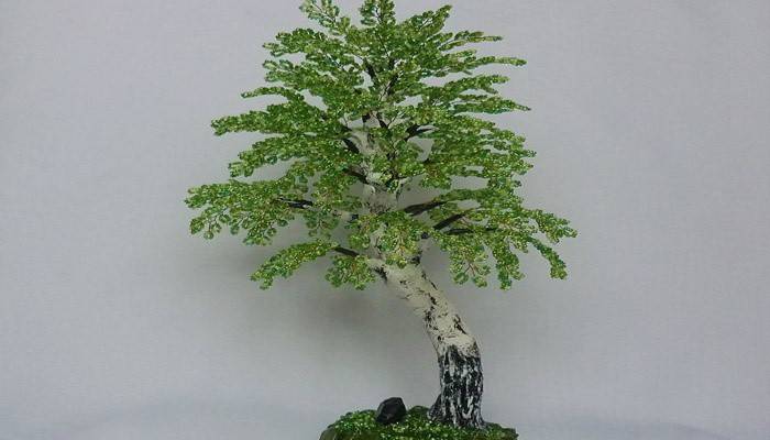 Bead Birch