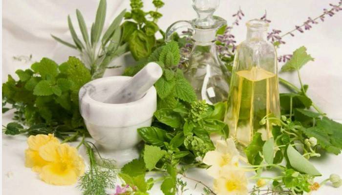 Zmes bylín s belošským hellebore na chudnutie