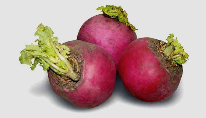 Rabanete vermelho