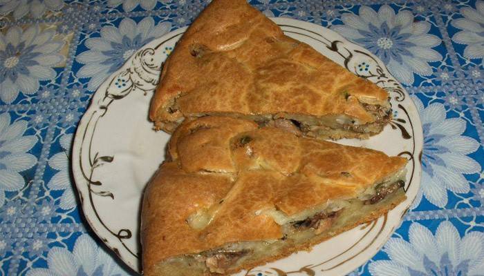 Opción de pastel de pescado en gelatina