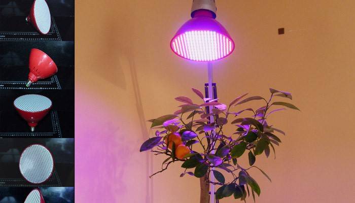 Phytolamp LED
