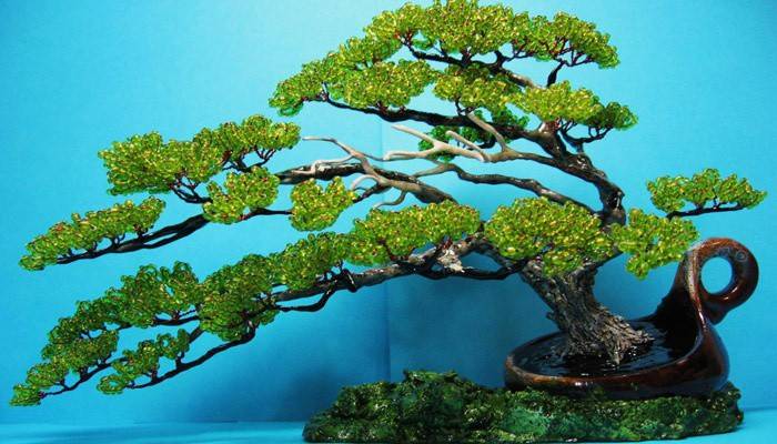 Drzewo Bonsai