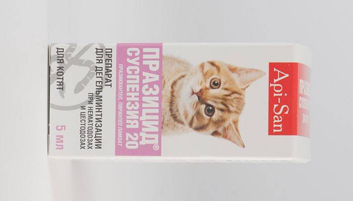 Suspensão de vermes em gatos