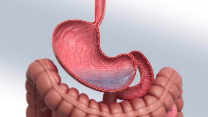 Mucosa gástrica