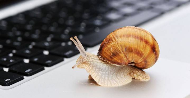 Ślimak na laptopie