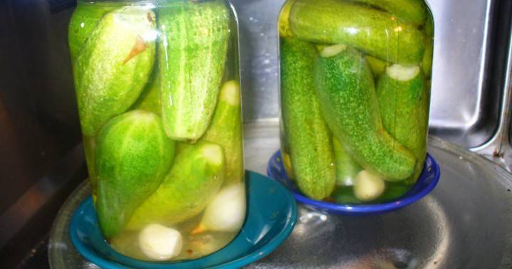 Espaços em branco de pepino