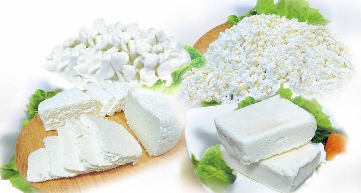 Tipos de queso Philadelphia