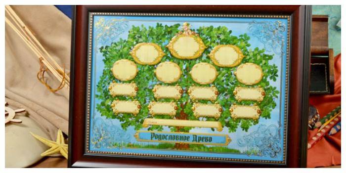 Drzewo genealogiczne