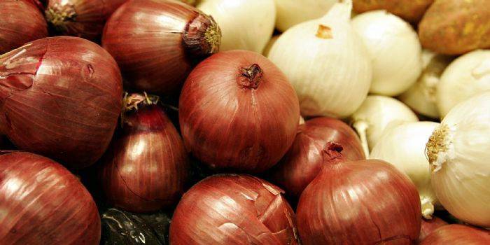 Bulbos de Cebola