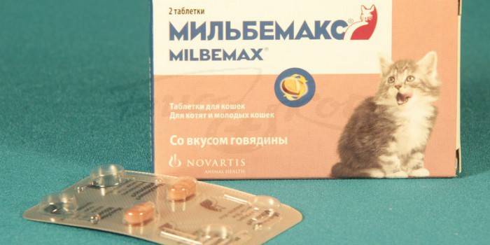 Milbemax od červov u mačiatok