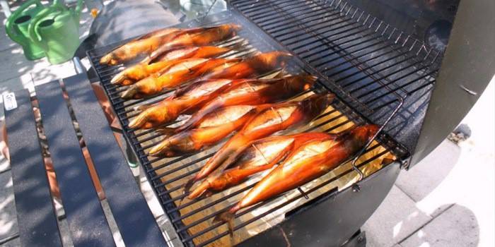 Ahumadero para peces