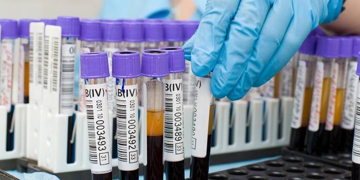 Teste de sangue de helmintos