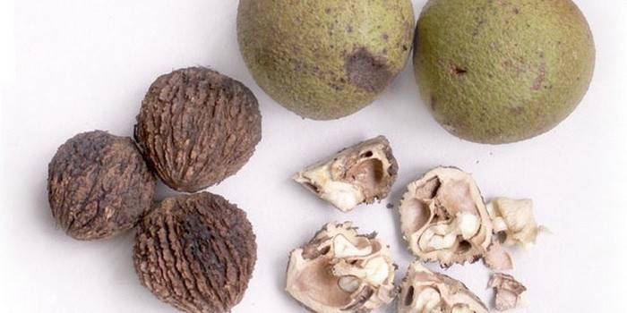 Fruta de noz preta