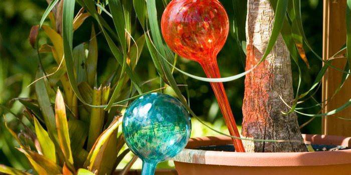 Sistema de rega automática para flores