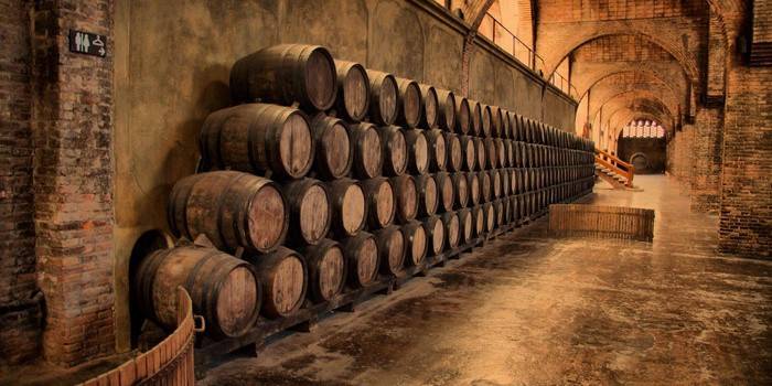 Paredes de la bodega