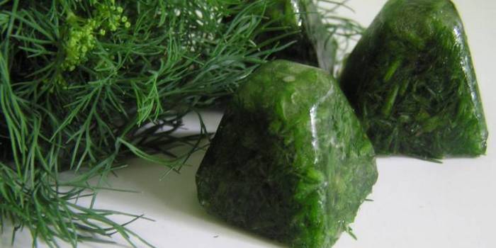 Dill congelado para o inverno