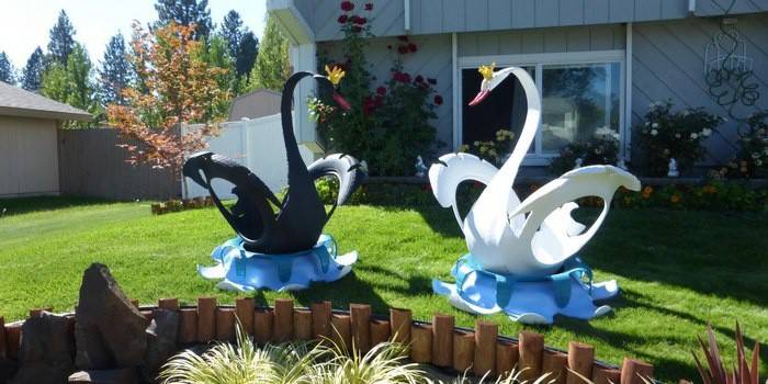 Cisnes de pneus