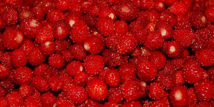 Mermelada de fresa