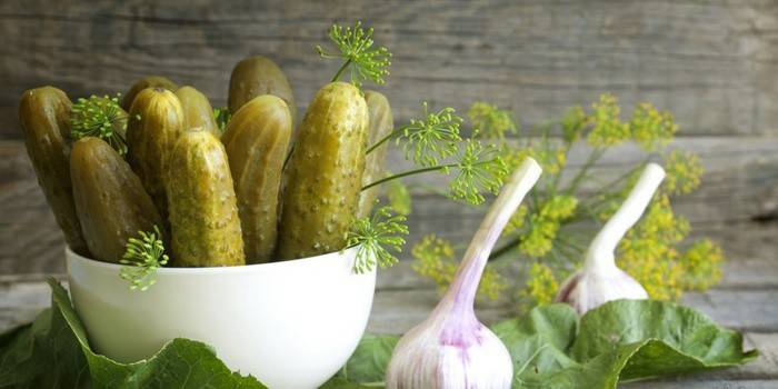 Recept na solené uhorky