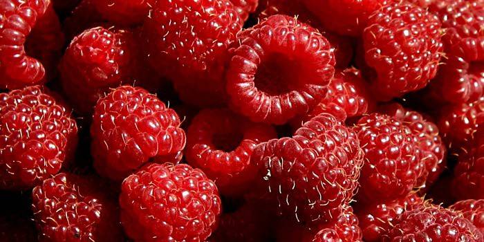 framboesas para vinho