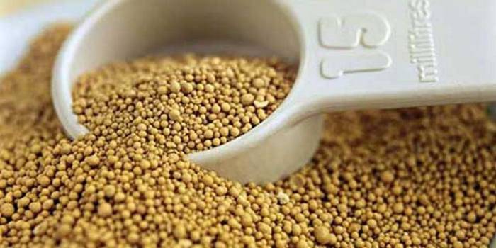 Levedura seca para fertilizar pepinos