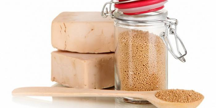 Levedura para alimentar pepinos