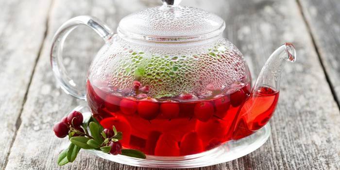 chá de lingonberry