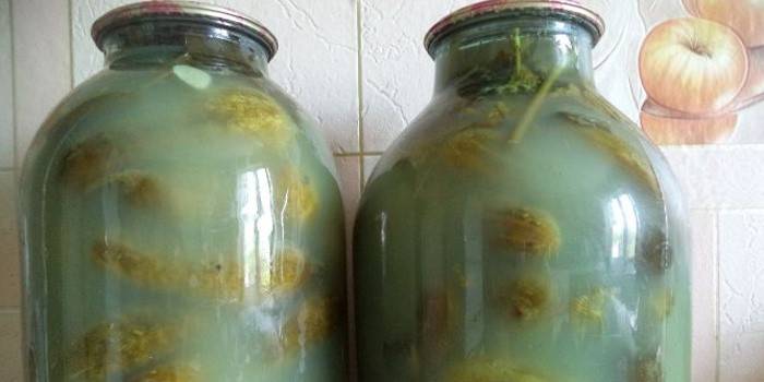 Los tarros con pepinos se nublan y explotan