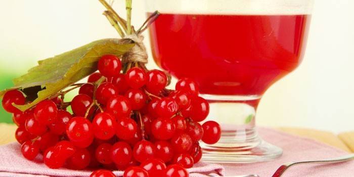 Jugo